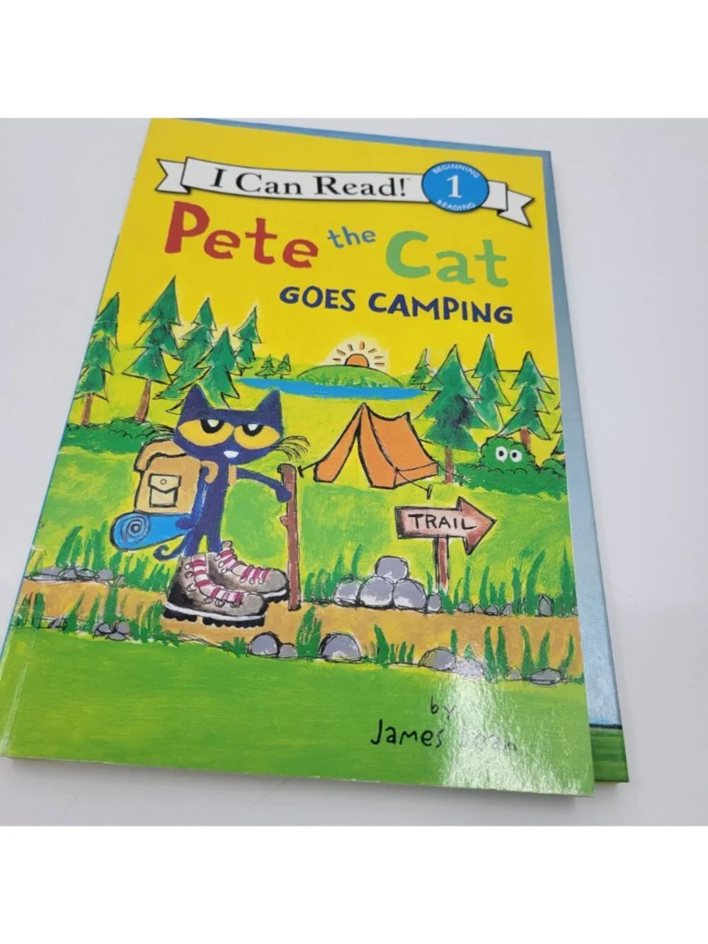 PETE THE CAT by James Dean Lot of 8 Beginning Reader - RB022